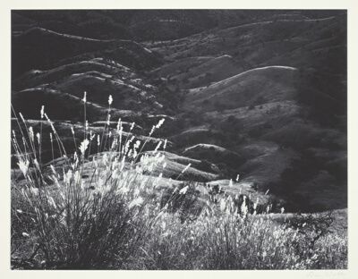 Grass, Arizona