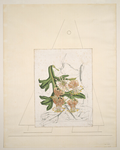Untitled (Loplop Presents)