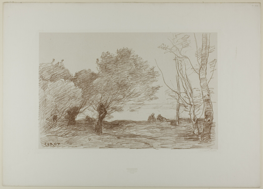 Willows and White Poplars