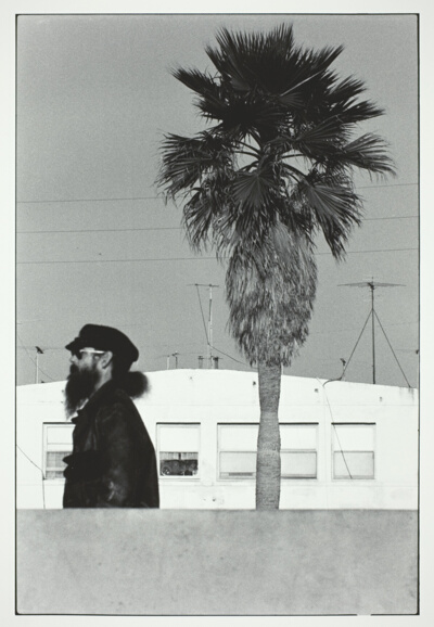 Bearded Man with Tree, Venice, U.S.A.