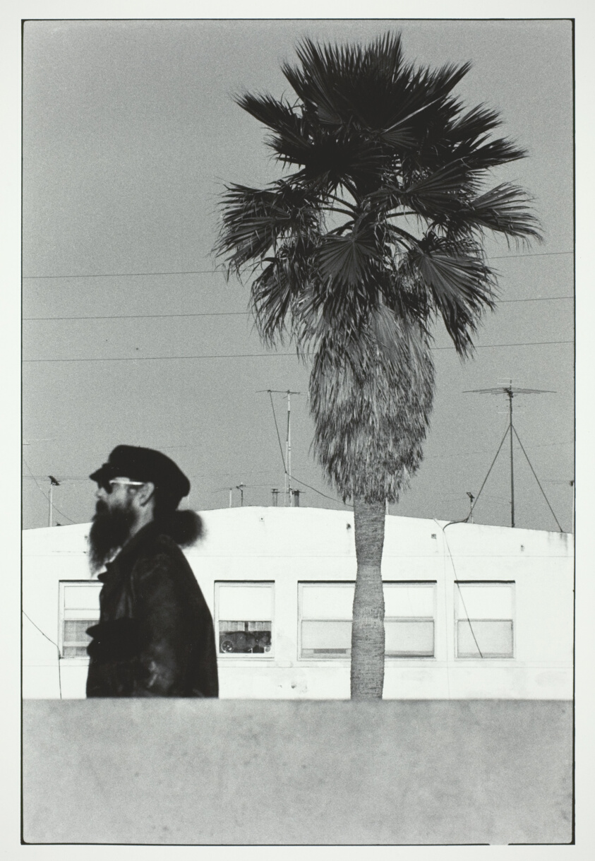 Bearded Man with Tree, Venice, U.S.A.