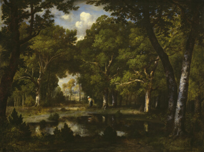 Pond in the Woods