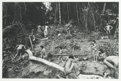 Yanomami