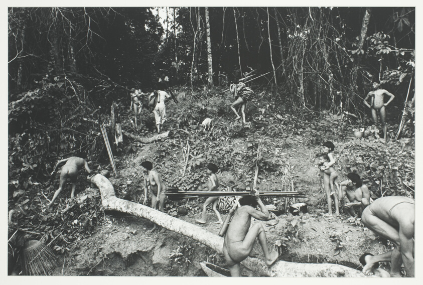 Yanomami
