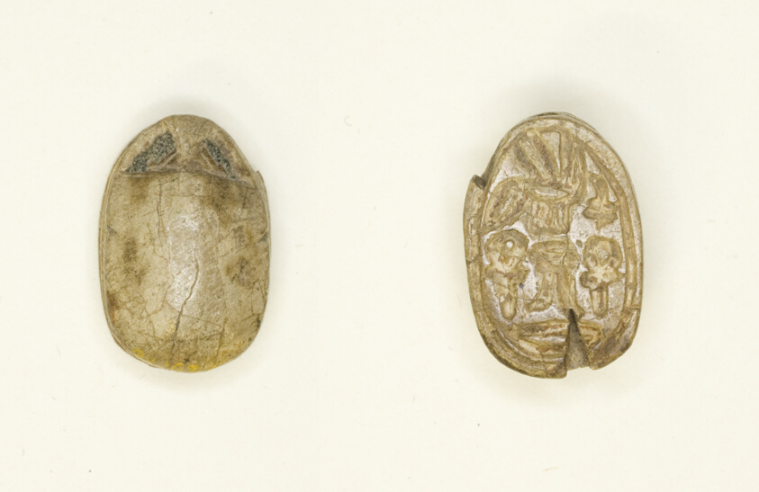 Scarab: Hieroglyphs (nsw-bity, Dd, anx, nb)