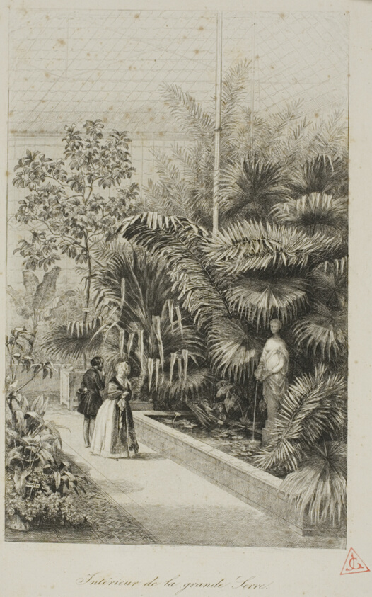 Interior of the Large Greenhouse