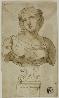 Bust of a Woman