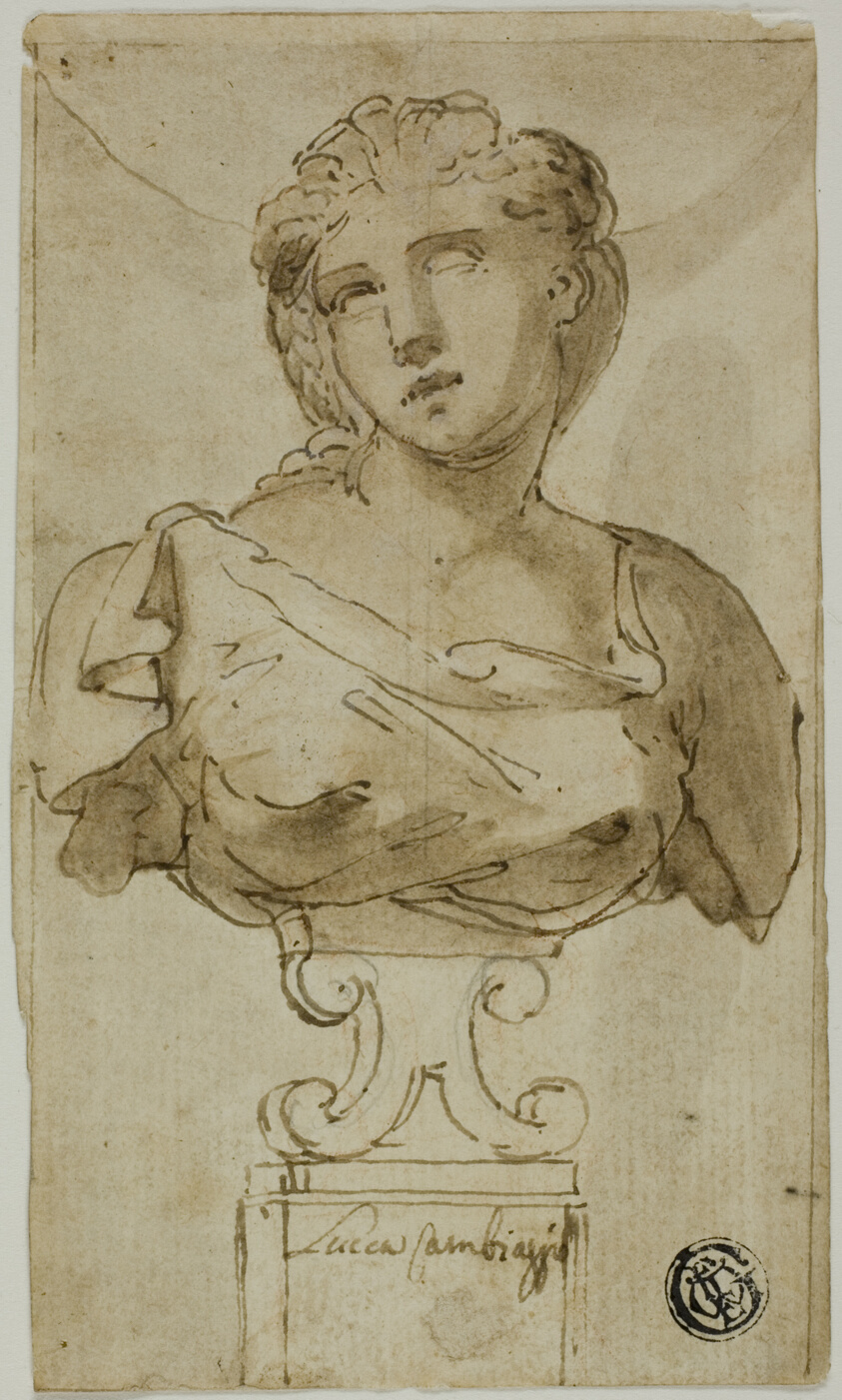 Bust of a Woman
