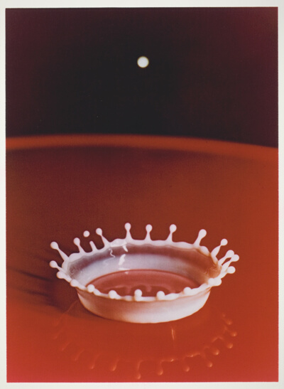 Milk Drop Coronet