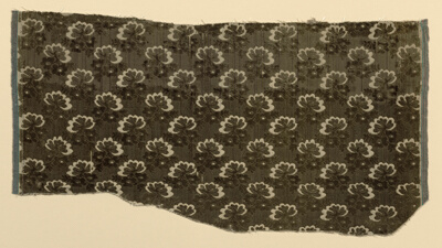 Fragment