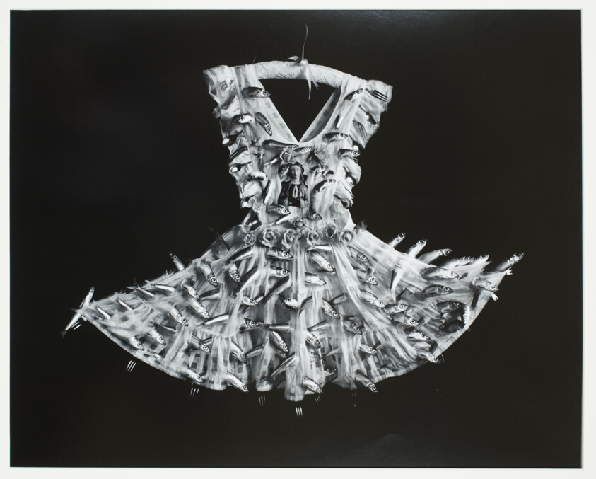 Apron of Sardines