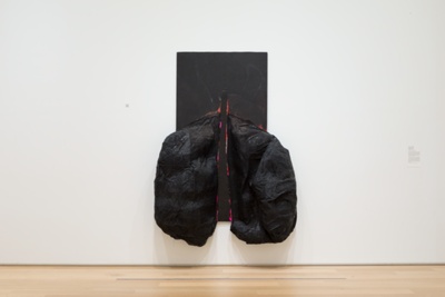 Untitled (lungs)