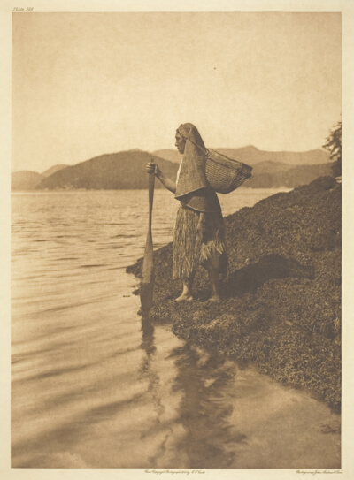 The Seaweed Gatherer