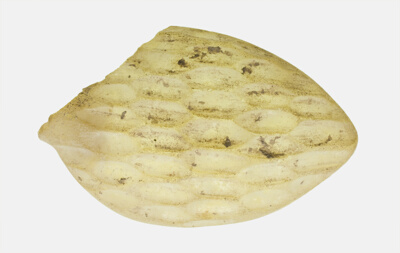 Fragment of a Spoon