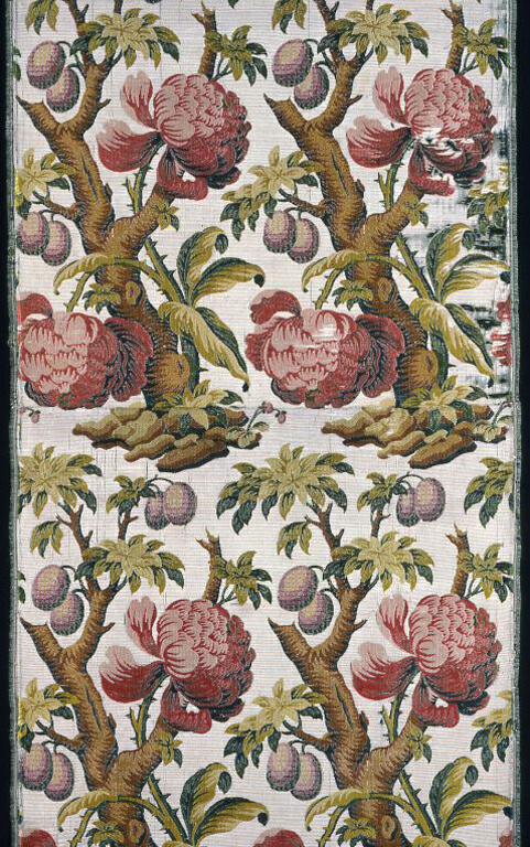Panel
