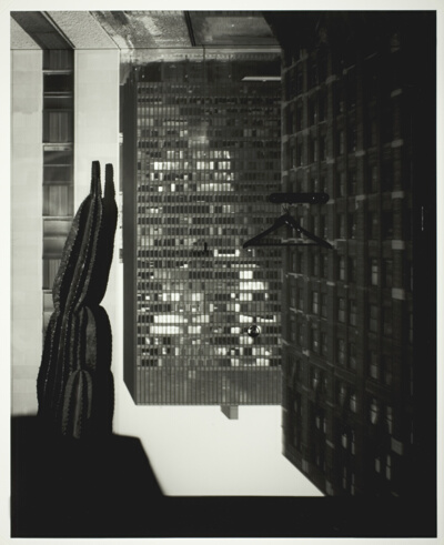 Camera Obscura Image of Three Buildings in Room with Cactus, LaSalle Bank, Chicago