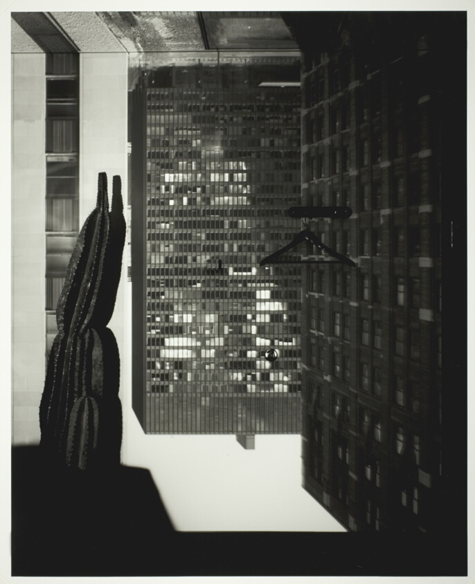 Camera Obscura Image of Three Buildings in Room with Cactus, LaSalle Bank, Chicago