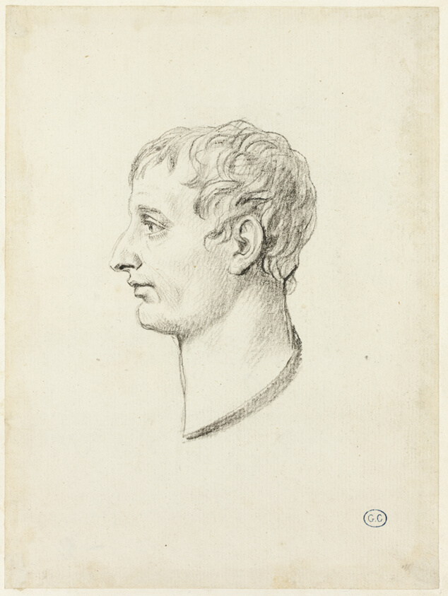 Profile of Napoleon