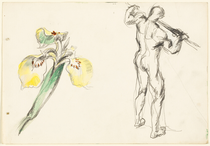 Two Sketches: A Lily and an Academic Nude