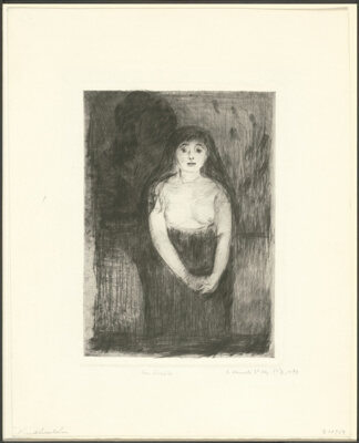 Study of a Model