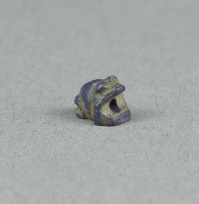 Scaraboid: Frog