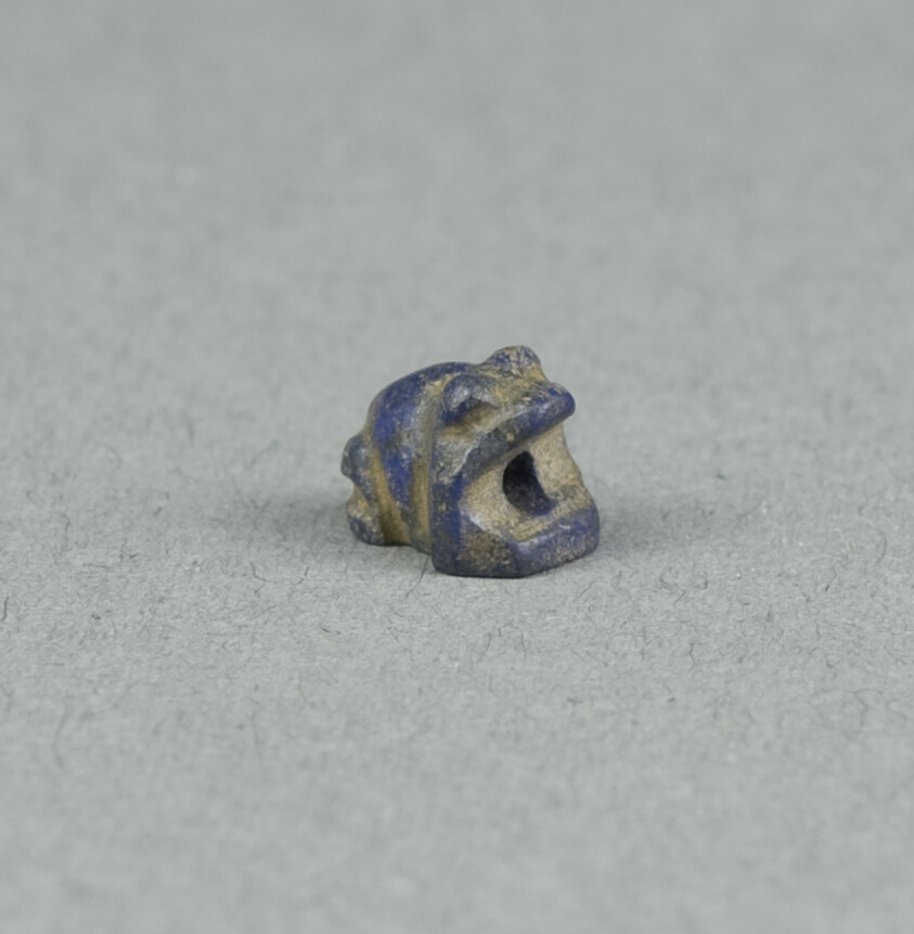 Scaraboid: Frog