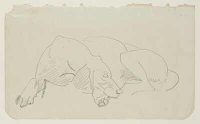 Sleeping Dog Facing Left, Head in Profile Facing Right (recto); Sleeping Dog Facing Left, in Profile (verso)