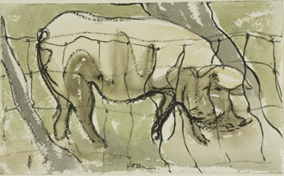 Pig