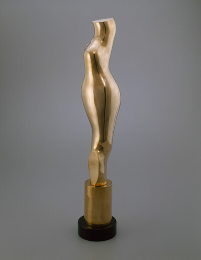 Torso-Kore