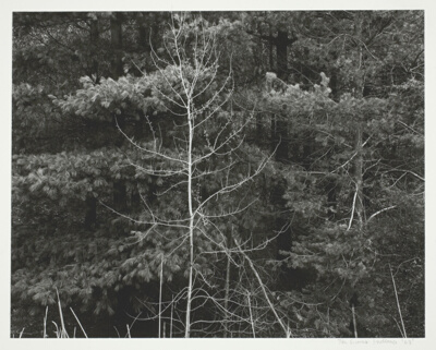 The Dunes, Indiana