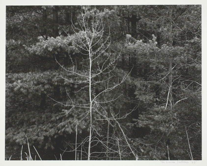 The Dunes, Indiana