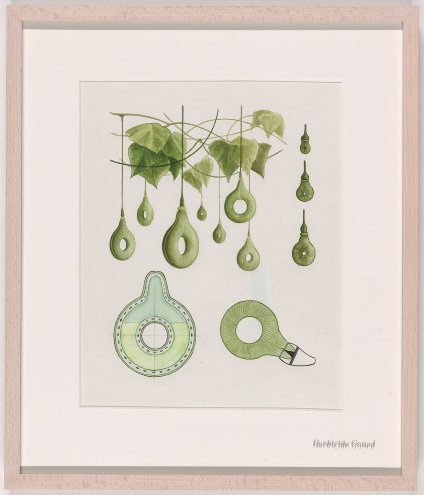 Herbicide Gourd, Growth Assembly