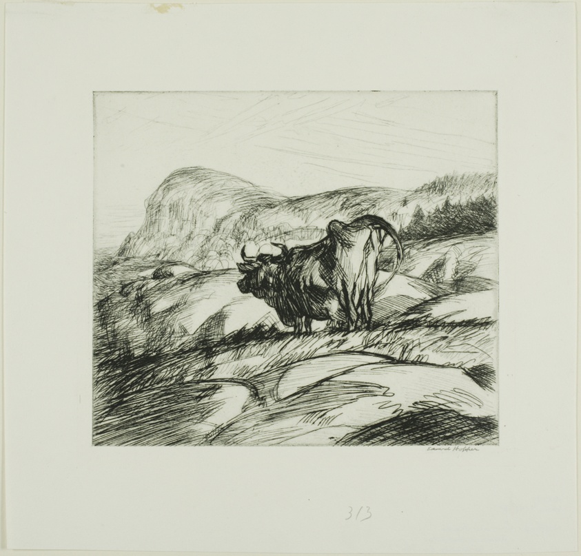Cow and Rocks