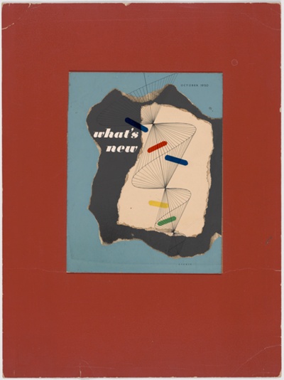 Cover for What's New