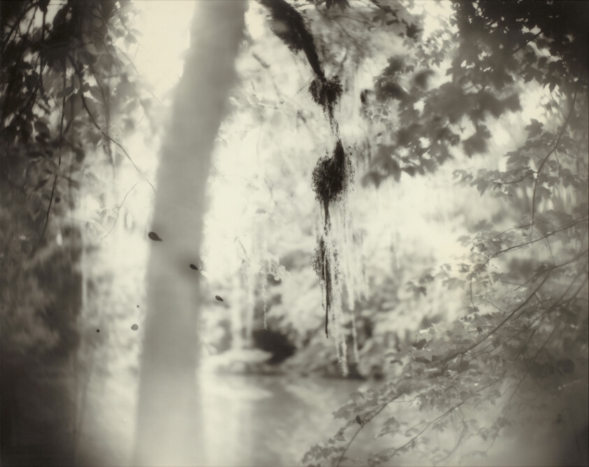Deep South, Untitled (Three Drips)