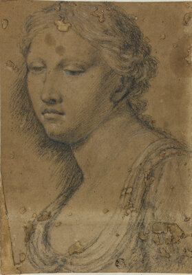 Bust of Woman