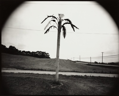 Metal Palm Tree and Monkey on NJ 23