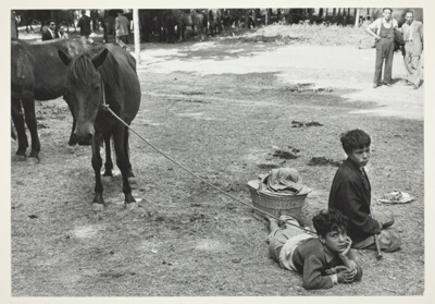 Pamploma: Two Boys with Horses