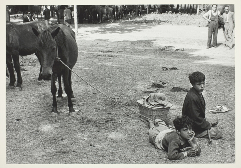 Pamploma: Two Boys with Horses