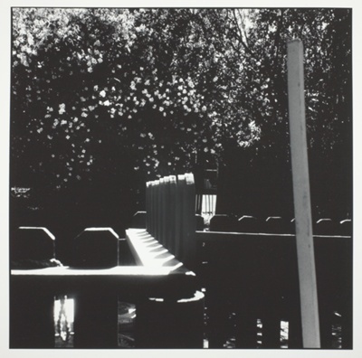 Untitled, from the series "Steve Lacey" (1977)