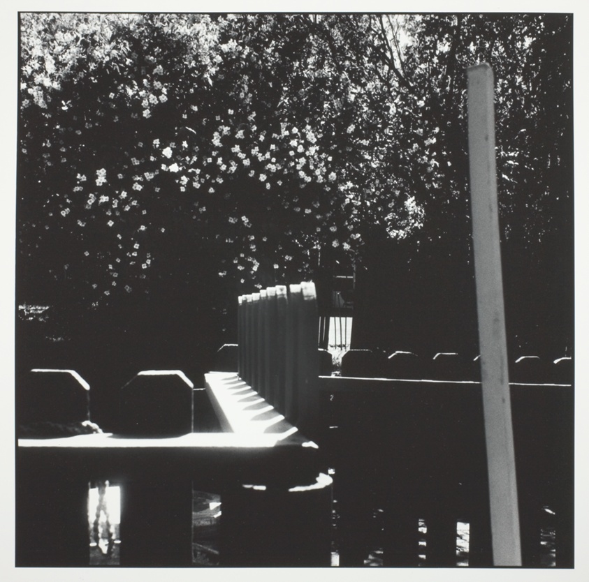 Untitled, from the series "Steve Lacey" (1977)