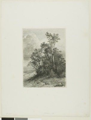 Alpine Landscape
