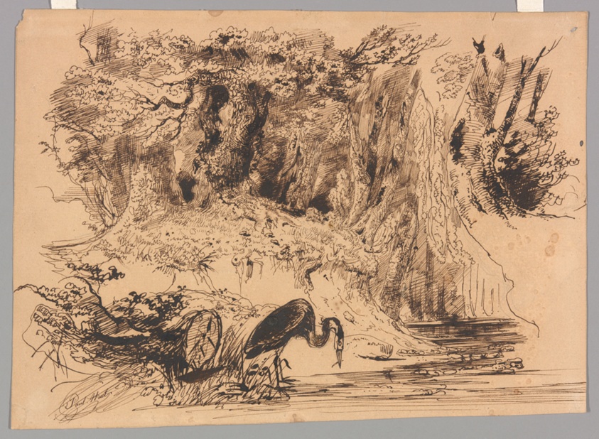 Forest Pool with Heron
