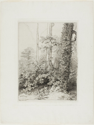 Bramble and Ivy