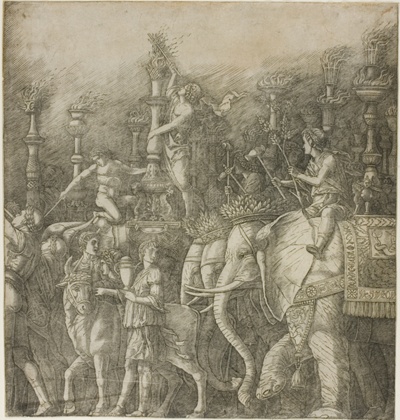 The Elephants, from The Triumph of Julius Caesar
