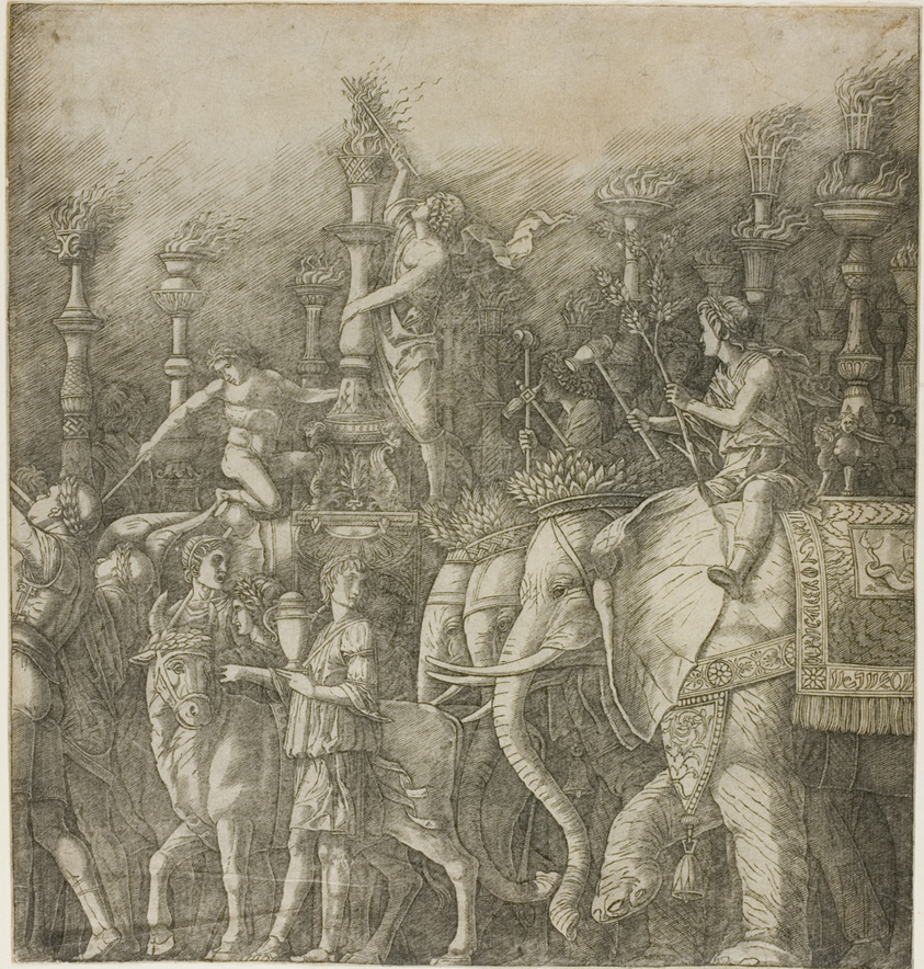 The Elephants, from The Triumph of Julius Caesar