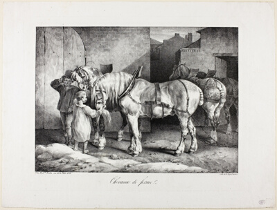 Farm Horses