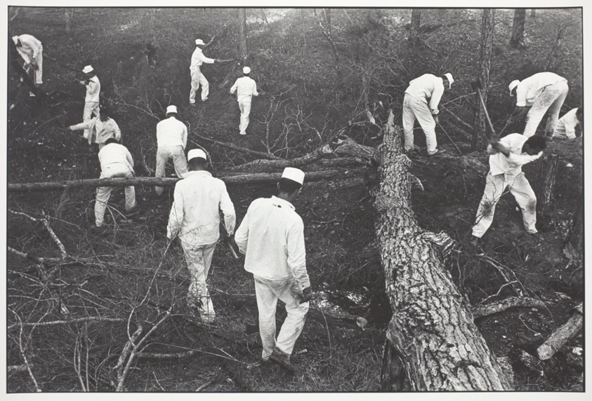 Clearing Land, Ellis Unit, from the series "Conversations with the Dead" and No. 13 from the portfolio "Danny Lyon" (1979)