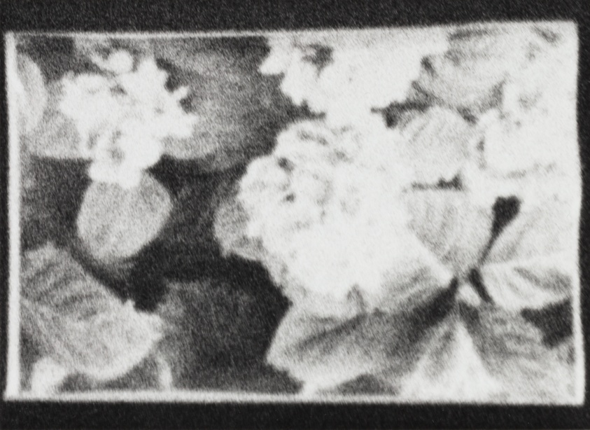 Untitled [from Circulation, October 12 #80]