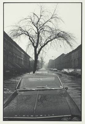 Park Slope, Brooklyn, N.Y.
